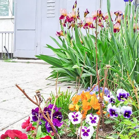 Appartement The Lion's - домът на лъва *