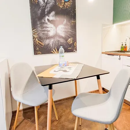 The Lion's - домът на лъва شقة