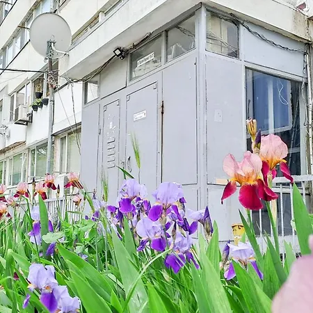 The Lion's - домът на лъва Appartement Varna