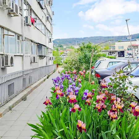 The Lion's - домът на лъва Lägenhet