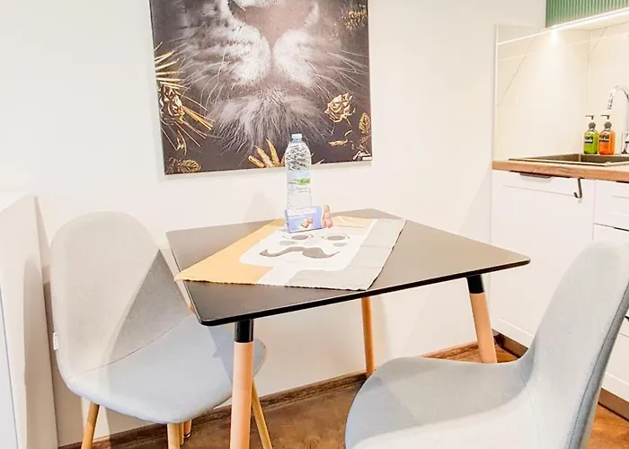 The Lion's - домът на лъва Lägenhet