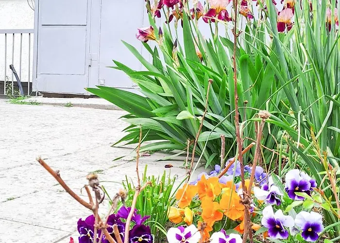 Lägenhet The Lion's - домът на лъва *