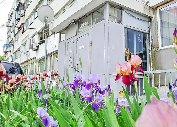 The Lion's - домът на лъва Lägenhet Varna